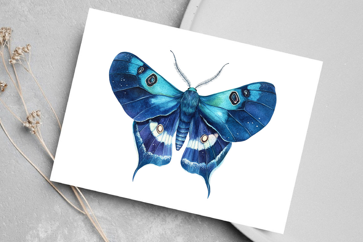 Watercolor Night Moths Clipart, an Illustration by Canvas Craft (Photo 5 of 8)