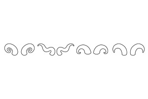 Outline collection of animal horns, an Animal Illustration by GraphiShop