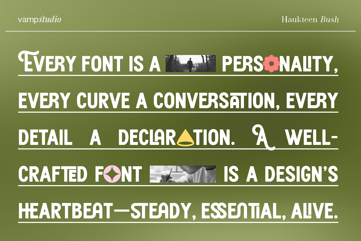Haukteen Bush – Decorative Font, a Sans Serif Font by Vampstudio (Photo 2 of 13)