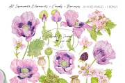 Purple Poppies&Blackberries-Clipart, an Illustration by watercolorwild.graphics (Thumbnail 3 of 10)