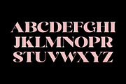 Siency Display, a Serif Font by InkwellTypeCo (Thumbnail 11 of 11)
