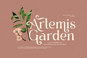 Bimbe Elegant Serif Font, a Serif Font by Graphicxell (Thumbnail 6 of 8)