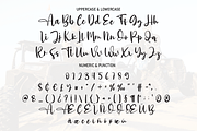 Comrade | Script Font, a Script Font by Scratchones (Thumbnail 3 of 8)