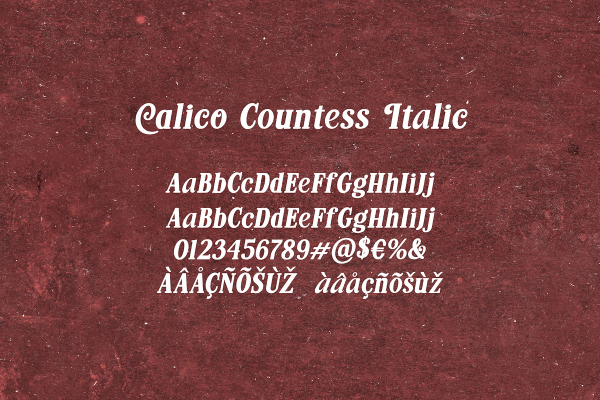 Calico Countess Font, a Serif Font by Aldiwangsadipa (Photo 7 of 12)