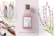 Organic LAB. Watercolor kit, a Decorative Illustration by Kate Macate (Thumbnail 5 of 9)