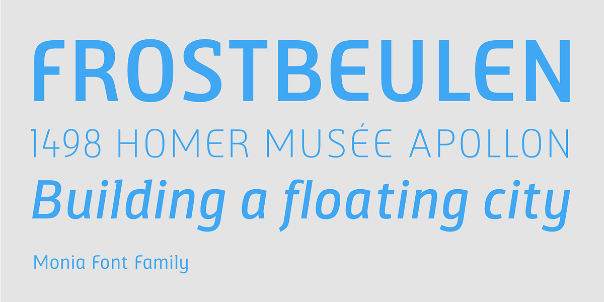 Monia, a Sans Serif Font by VivalaType (Photo 4 of 8)