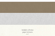 Palms & Paints Vector Elements, an Object Graphic by Touch and Form (Thumbnail 13 of 13)