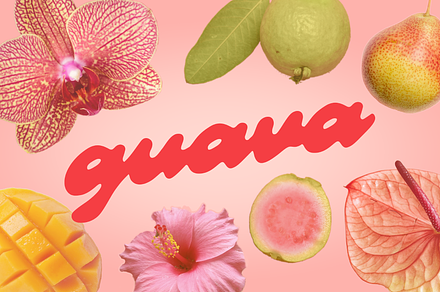 Guava - Juicy Script, a Script Font by By Meg Burk