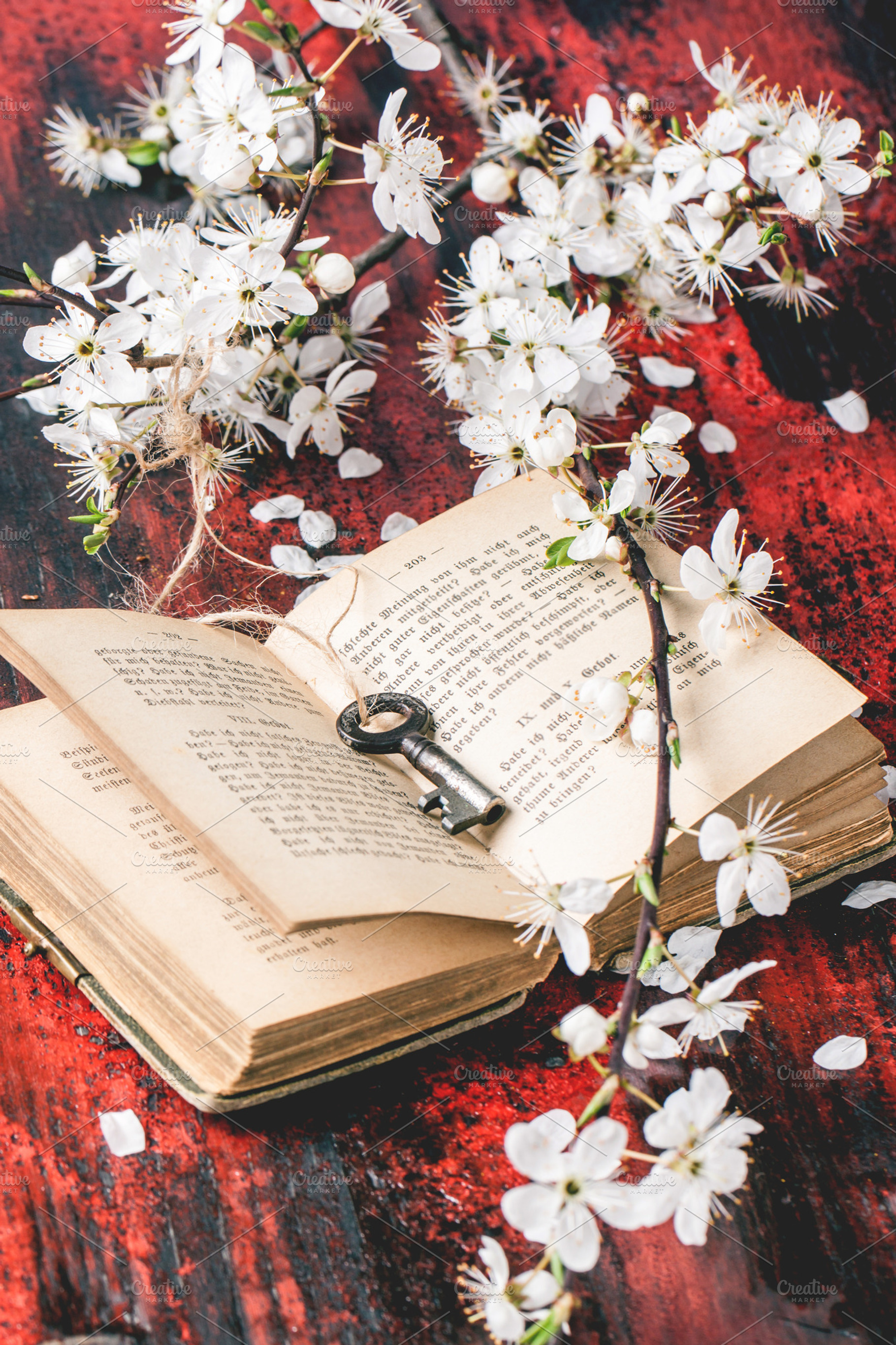 Vintage bible with blossom branch stock photo containing book and old
