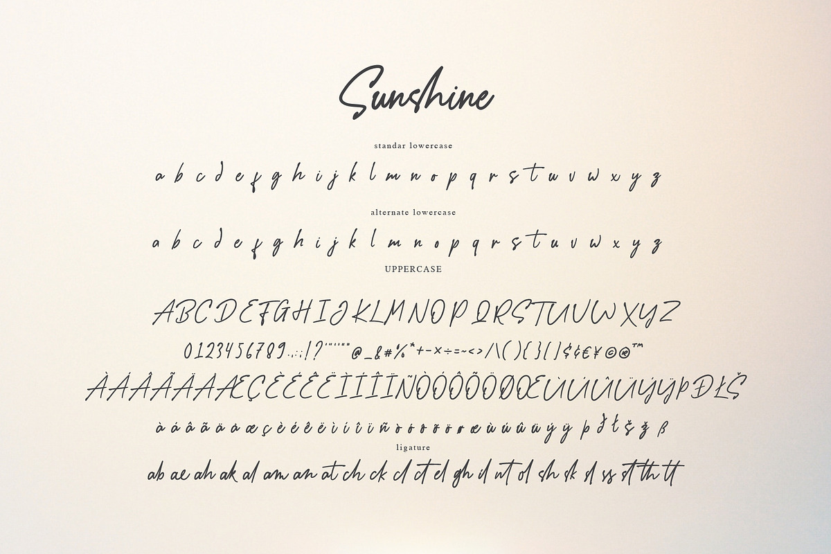 Sunshine - a Handwritten Font preview 8