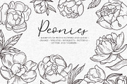 Peonies Line Art SVG, AI, EPS, PNG, a Decorative Illustration by InstaDesignPro (Thumbnail 1 of 12)