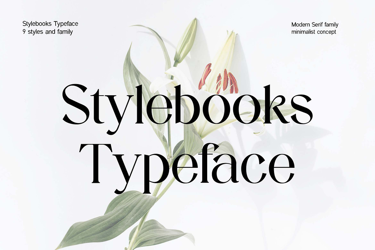 Stylebooks Typeface Serif Font, a Serif Font by UICreative (Photo 1 of 13)