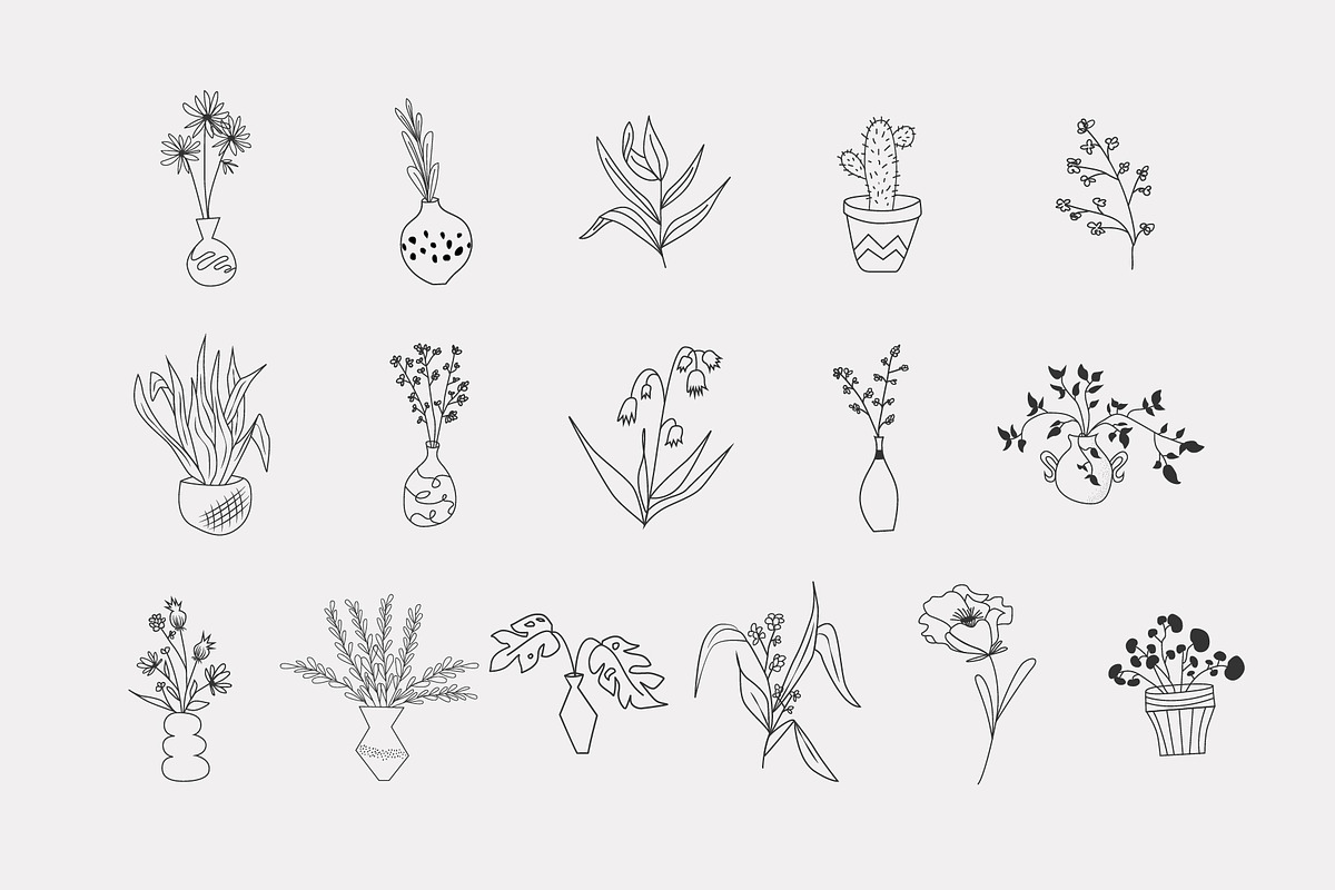 Plants: minimal house plants, a Decorative Illustration by Stacey Shaller (Photo 7 of 7)