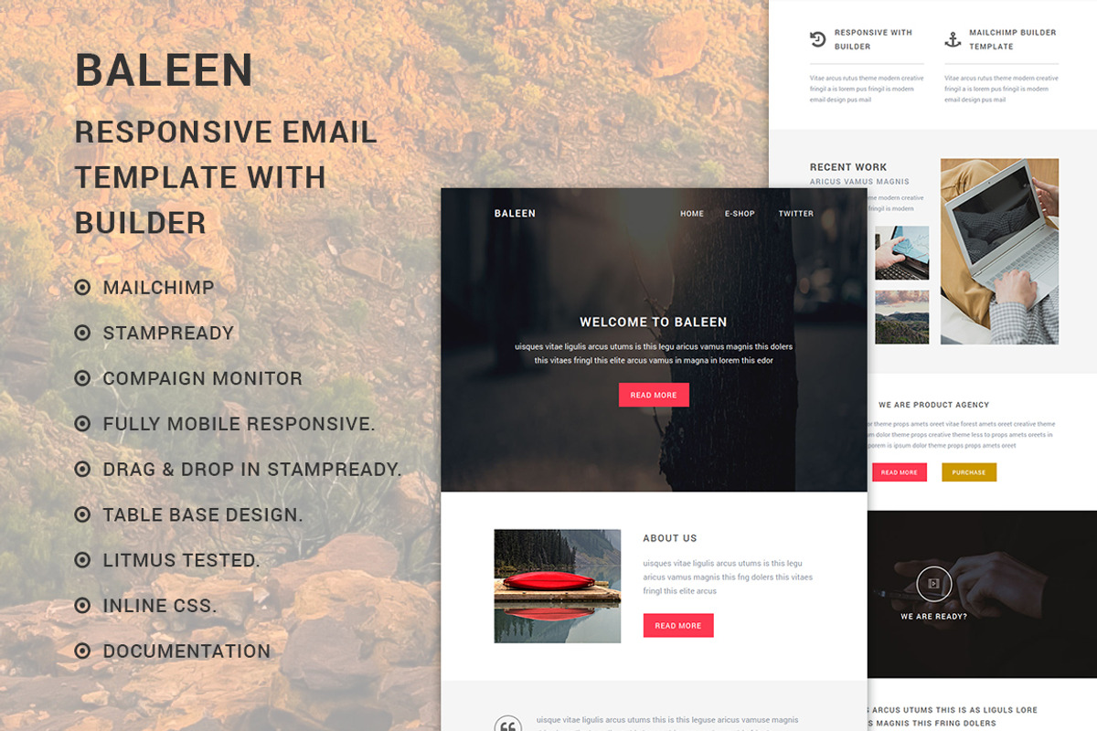 Baleen - Responsive email template, an Email Template by QuickArtisan (Photo 4 of 5)