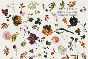 Spicy Cedar Watercolor Fall Clipart