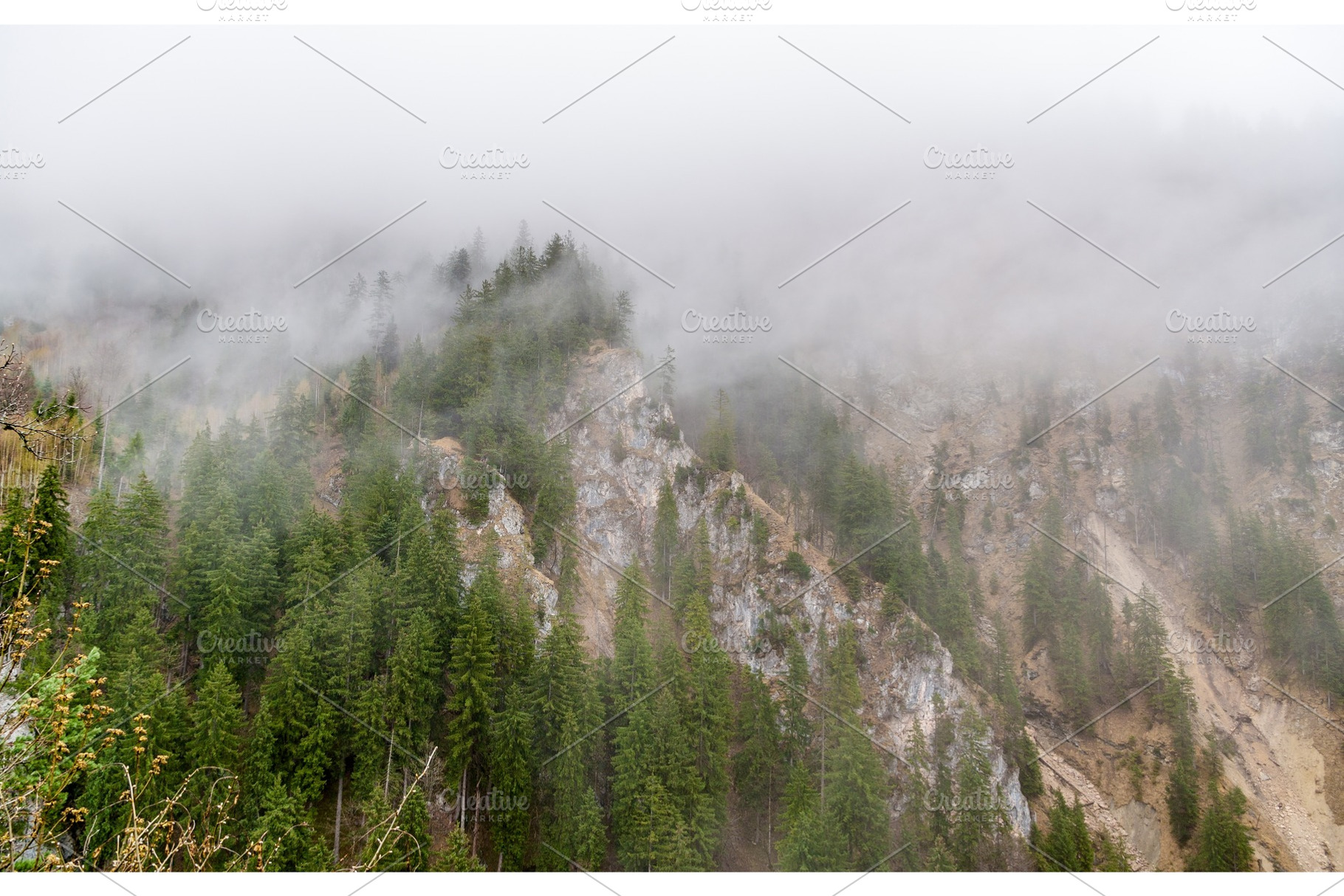 Bavarian alps in a fog germany containing landscape, spring, and mountain, a Nature Photo by Leonid Andronov