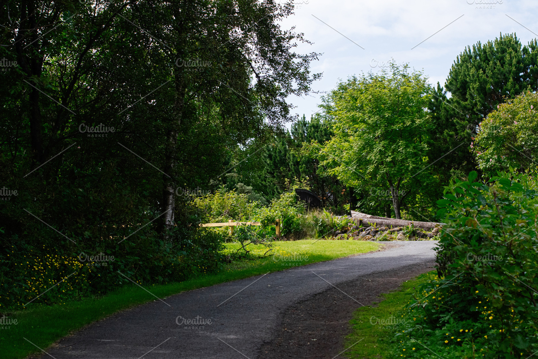 Scenic pathway through lush greenery in Reykjavik, Iceland on a sunny day, a Photo by AS photostudio