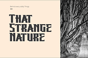 Beking Font, a Font by Grontype (Thumbnail 3 of 8)