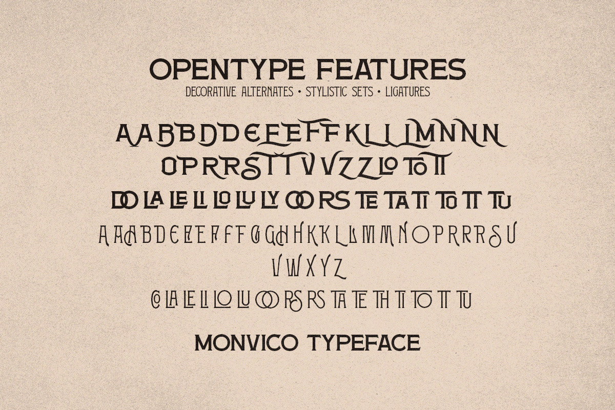 Monvico - Label Display Font, a Serif Font by Letterhend Studio (Photo 10 of 10)