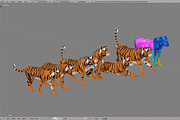 Tiger, an Animal 3D Model by Studio Ochi (Thumbnail 6 of 6)