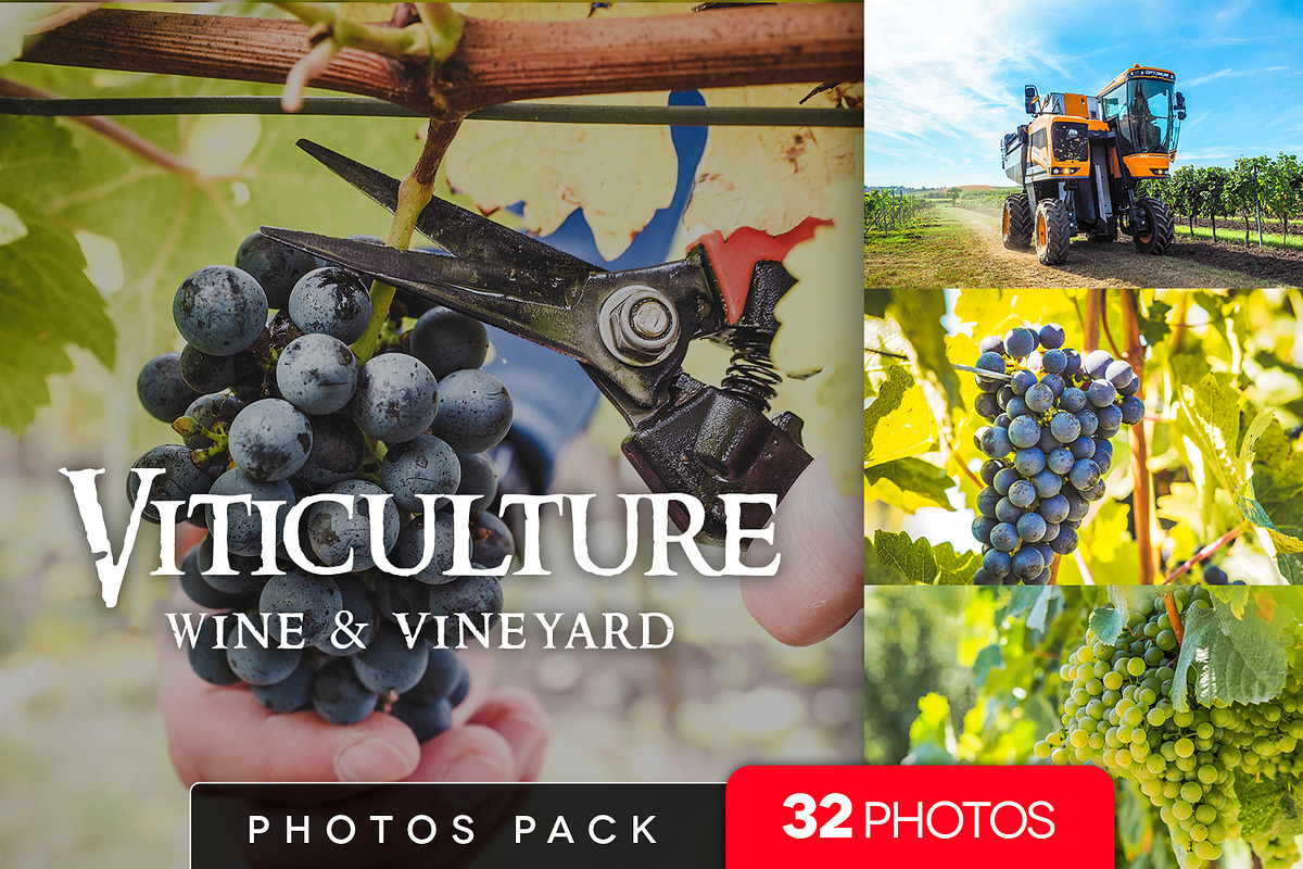 Viticulture /32 pics