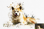 Paint Splatter Effect Ps Action, an Action Add-On by Studio Retouch (Thumbnail 7 of 17)