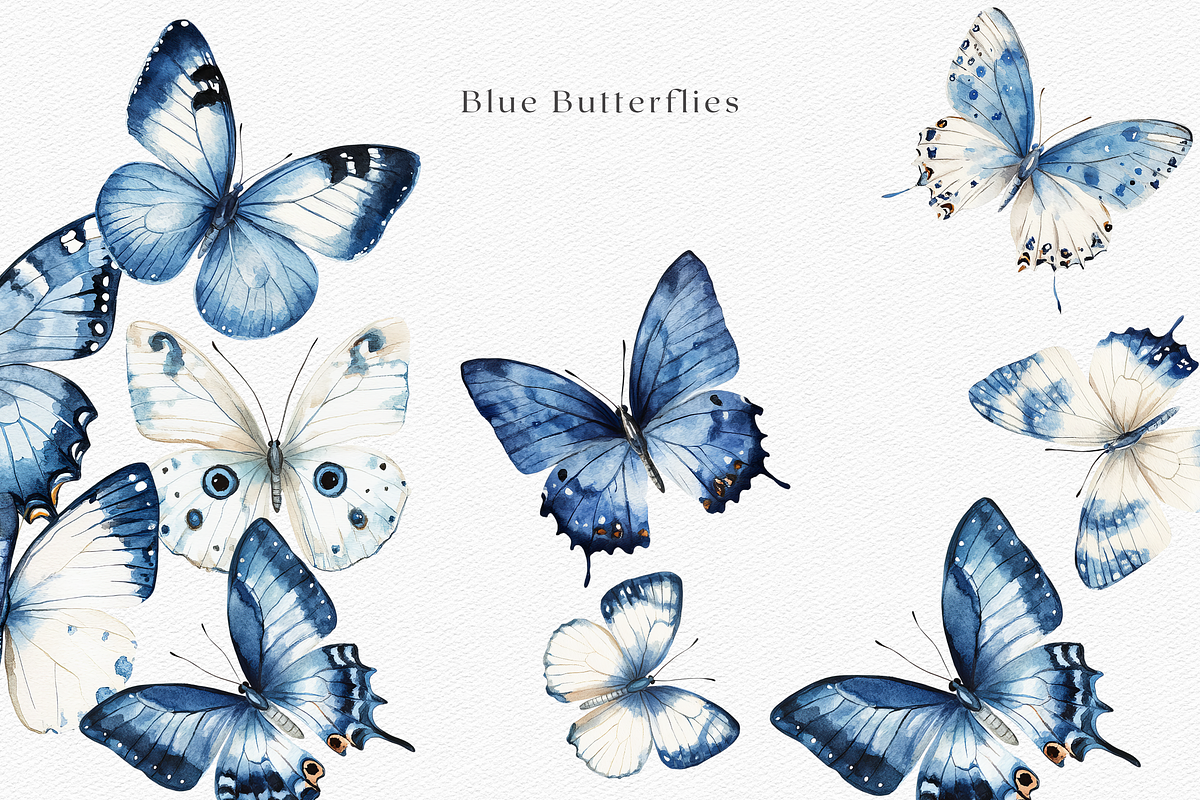 Azure - Blue Butterflies Clipart, a Decorative Illustration by ThaismotaCreativeCo (Photo 5 of 8)