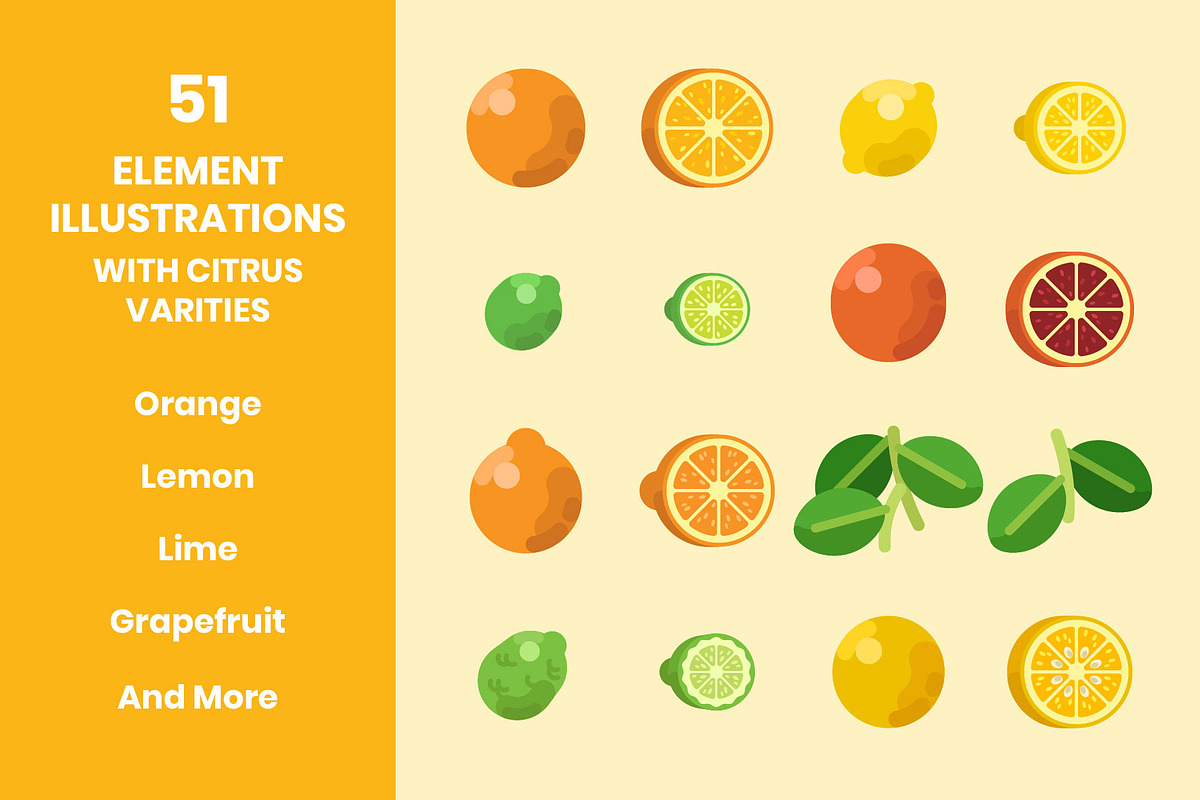 Citrus Fruit Illustrations Set, a Food Illustration by DailyYouth (Photo 2 of 5)