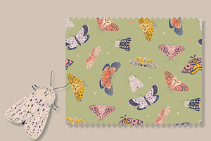 Delicate Butterfly Patterns