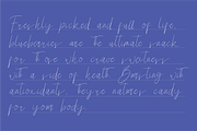 Wesperia Script, a Script Font by Berdansabersama (Thumbnail 3 of 8)