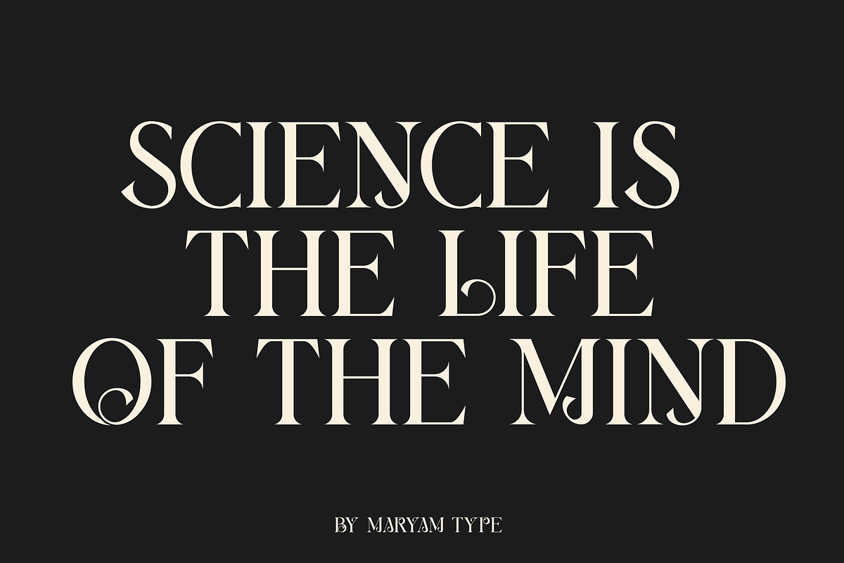 Berang Berang Serif Display Font, a Serif Font by Maryamtype Studio (Photo 9 of 15)