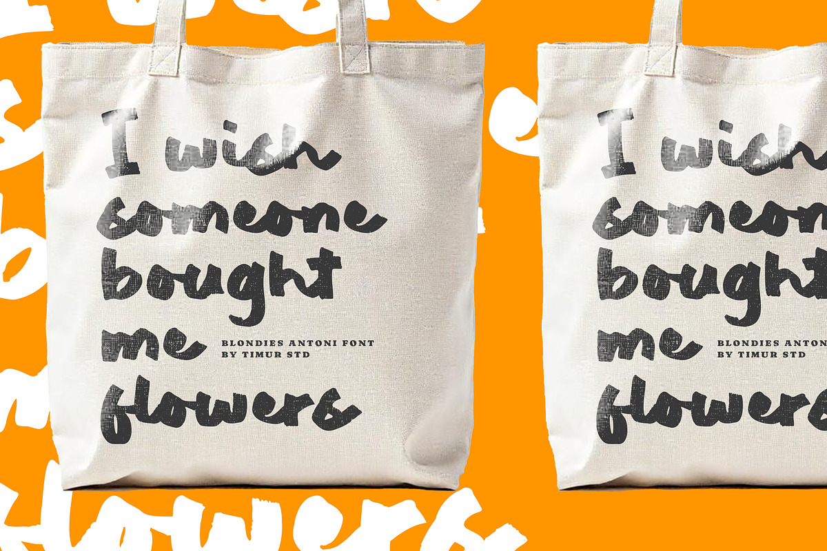 Blondies Antoni Font, a Handwritten Font by Timurtype (Photo 5 of 7)