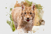 Artistic Watercolor Splash Effect, a Layer Style Add-On by liptouse (Thumbnail 8 of 11)