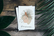 Female bodies. Line art, an Object Graphic by Vera●Suleimanova (Thumbnail 15 of 16)