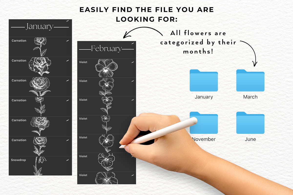 135 Birth Flowers PNG SVG Procreate, a Brushes & More by LaurenceVArtiste (Photo 9 of 9)