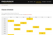 Endurance Fitness Theme, a WordPress Template by EnergyThemes (Thumbnail 3 of 4)
