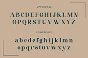 AROVA - Modern Classy Serif, a Serif Font by AnnofaType (Thumbnail 7 of 8)