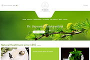 Dr. Sigmund - Wordpress Theme, a WordPress Template by inSTUDIO43 (Thumbnail 1 of 6)