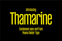 Thamarine Condensed Sans Font