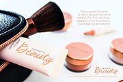 Kamelina Handwritting, a Script Font by Olexstudio (Thumbnail 4 of 7)
