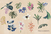 Floria. Tropical pattern, a Pattern Graphic by emeraldthue (Thumbnail 4 of 7)