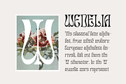 Salty Mussy - Quirky Twisted Display, a Sans Serif Font by Dharmas Foundry (Thumbnail 4 of 15)