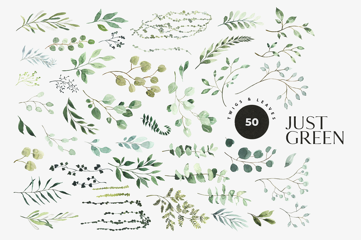 JUST GREEN leaves greenery foliage, a Decorative Illustration by Lana Elanor (Photo 1 of 8)