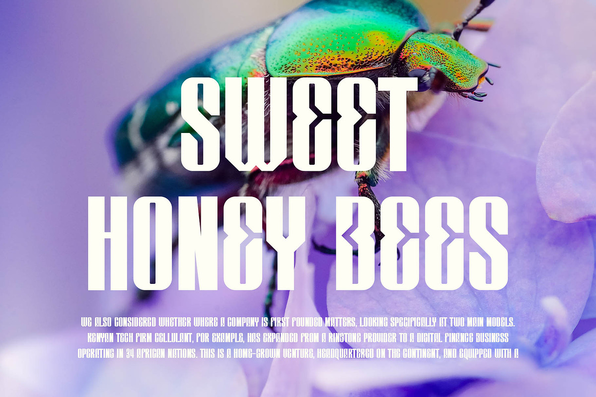 Makes Sans Serif Font, a Sans Serif Font by Graphicxell (Photo 5 of 5)