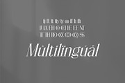 Netyrac – Elegant Font, a Serif Font by Salamahtype (Thumbnail 4 of 8)