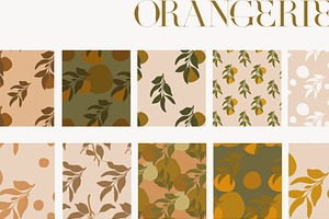 Abstract Orange Summer Botanicals