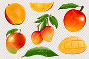 Watercolor Mango Fruit Clipart, a Food Illustration by Vavavan Artwork (Thumbnail 4 of 5)