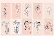 BIG Meadow Flowers Collection, a Decorative Illustration by ZinetroN (Thumbnail 3 of 4)
