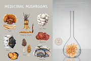 Mushrooms Watercolor Clipart, a Food Illustration by AnitaPol (Thumbnail 5 of 24)