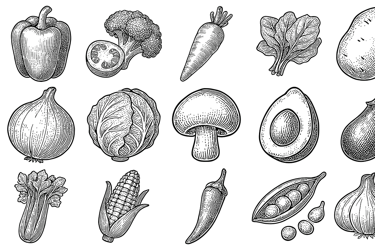 Vegetable Sketch Collection, an Object Graphic by nikagraphic